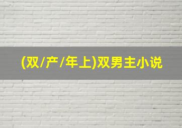 (双/产/年上)双男主小说