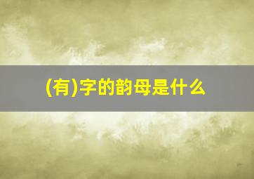 (有)字的韵母是什么