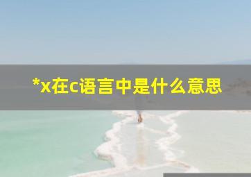 *x在c语言中是什么意思