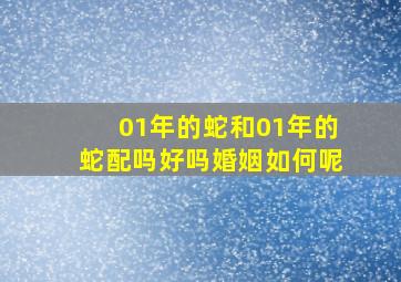 01年的蛇和01年的蛇配吗好吗婚姻如何呢