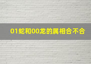 01蛇和00龙的属相合不合