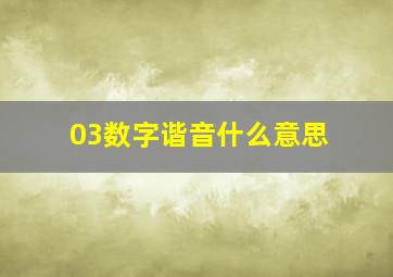 03数字谐音什么意思