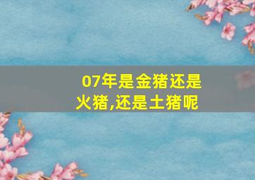 07年是金猪还是火猪,还是土猪呢