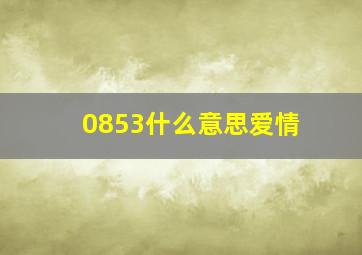 0853什么意思爱情