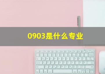 0903是什么专业