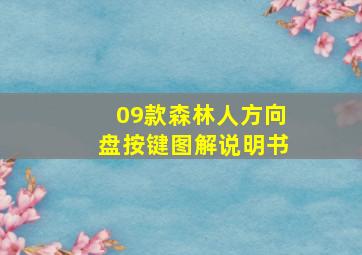 09款森林人方向盘按键图解说明书