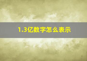 1.3亿数字怎么表示