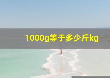 1000g等于多少斤kg