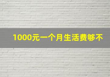 1000元一个月生活费够不