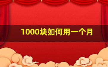 1000块如何用一个月