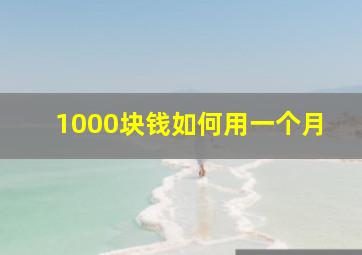 1000块钱如何用一个月