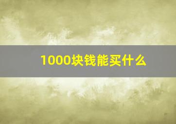 1000块钱能买什么