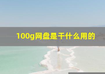 100g网盘是干什么用的