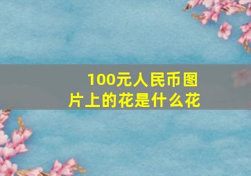 100元人民币图片上的花是什么花