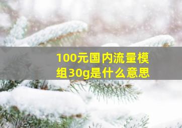 100元国内流量模组30g是什么意思