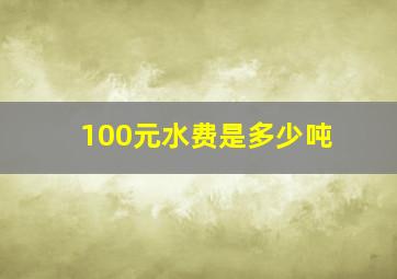 100元水费是多少吨