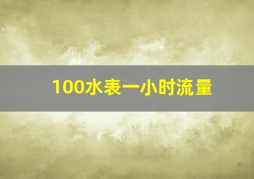 100水表一小时流量