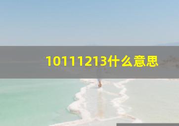 10111213什么意思