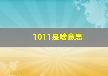 1011是啥意思