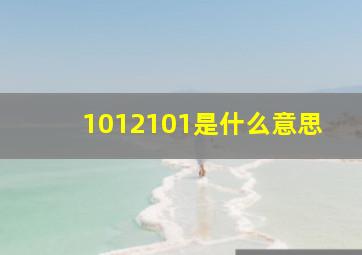 1012101是什么意思