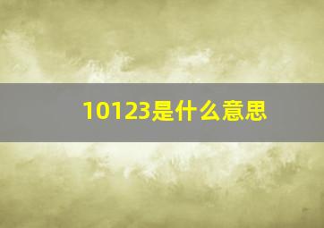 10123是什么意思