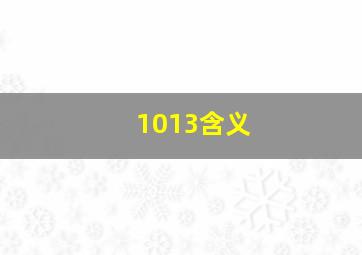 1013含义