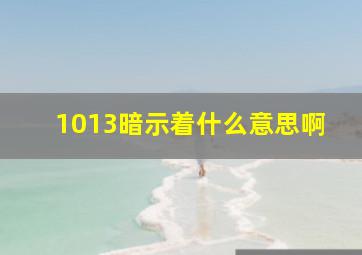 1013暗示着什么意思啊