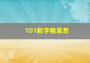 101数字啥意思