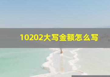 10202大写金额怎么写