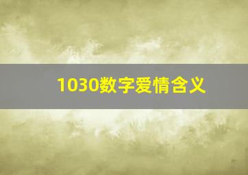 1030数字爱情含义