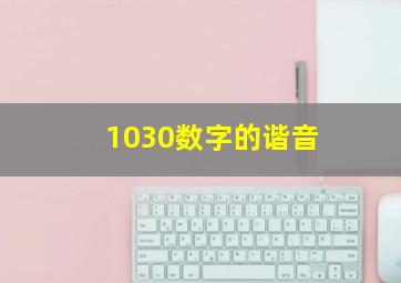 1030数字的谐音