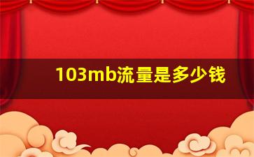 103mb流量是多少钱