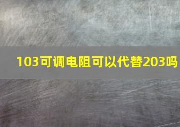 103可调电阻可以代替203吗