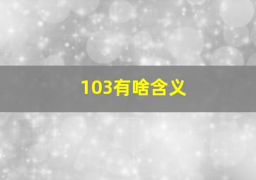 103有啥含义