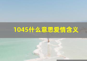 1045什么意思爱情含义