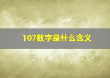 107数字是什么含义