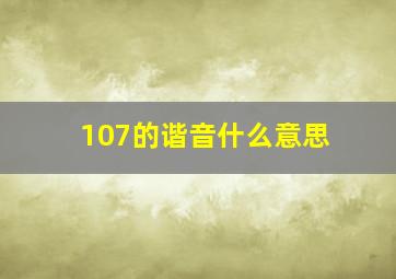 107的谐音什么意思