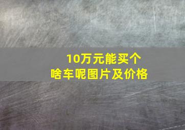 10万元能买个啥车呢图片及价格