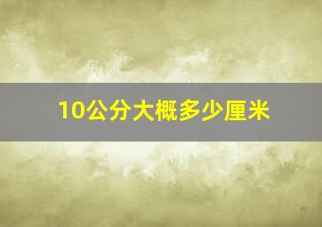 10公分大概多少厘米