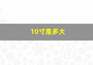 10寸是多大