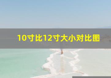 10寸比12寸大小对比图