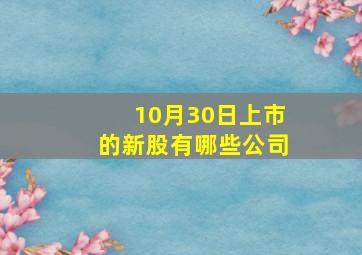 10月30日上市的新股有哪些公司