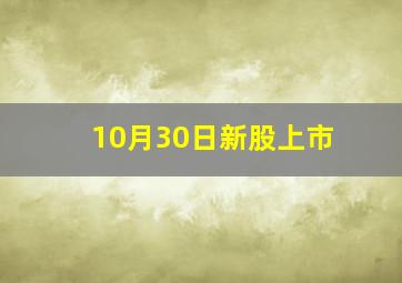 10月30日新股上市