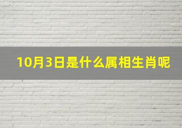 10月3日是什么属相生肖呢