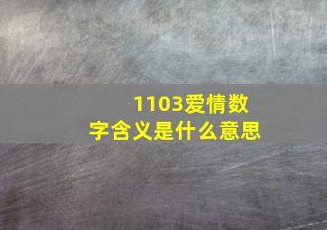 1103爱情数字含义是什么意思