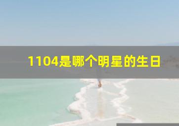 1104是哪个明星的生日