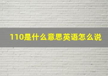 110是什么意思英语怎么说