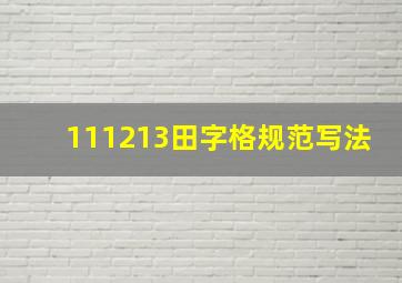 111213田字格规范写法