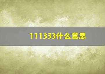 111333什么意思