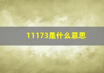 11173是什么意思